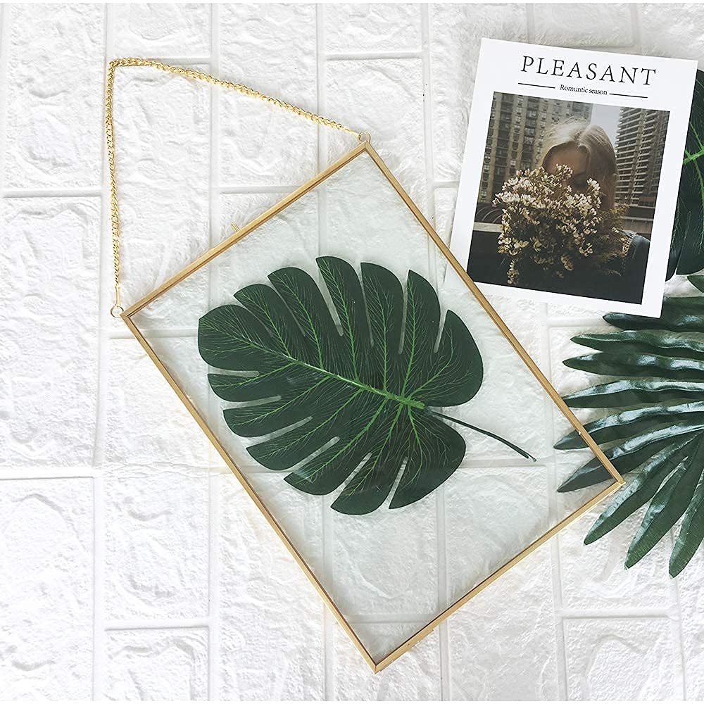 Premium Glass Photo Frame for Dried Flowers - Gold & Brass Pressed Flower Display Frame - DIY Wall Hanging Decor for Home, Wedding, or Gift - Plant Specimen & Geometric Art Display