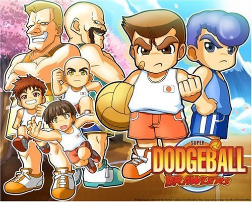 Super Dodgeball Brawlers - Nintendo DS (Renewed) | Classic Sports Action Game | Perfect for Travel & Family Game Nights