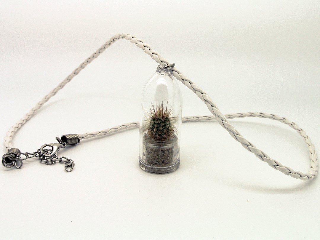 Live Cacti Plant Necklace - Terrarium Flower Pendant with 17