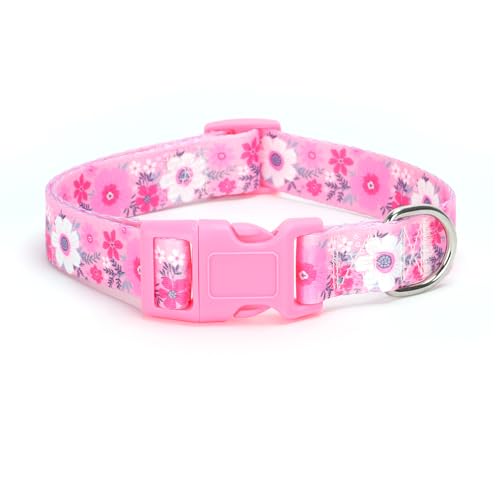 24.Pink Daisy