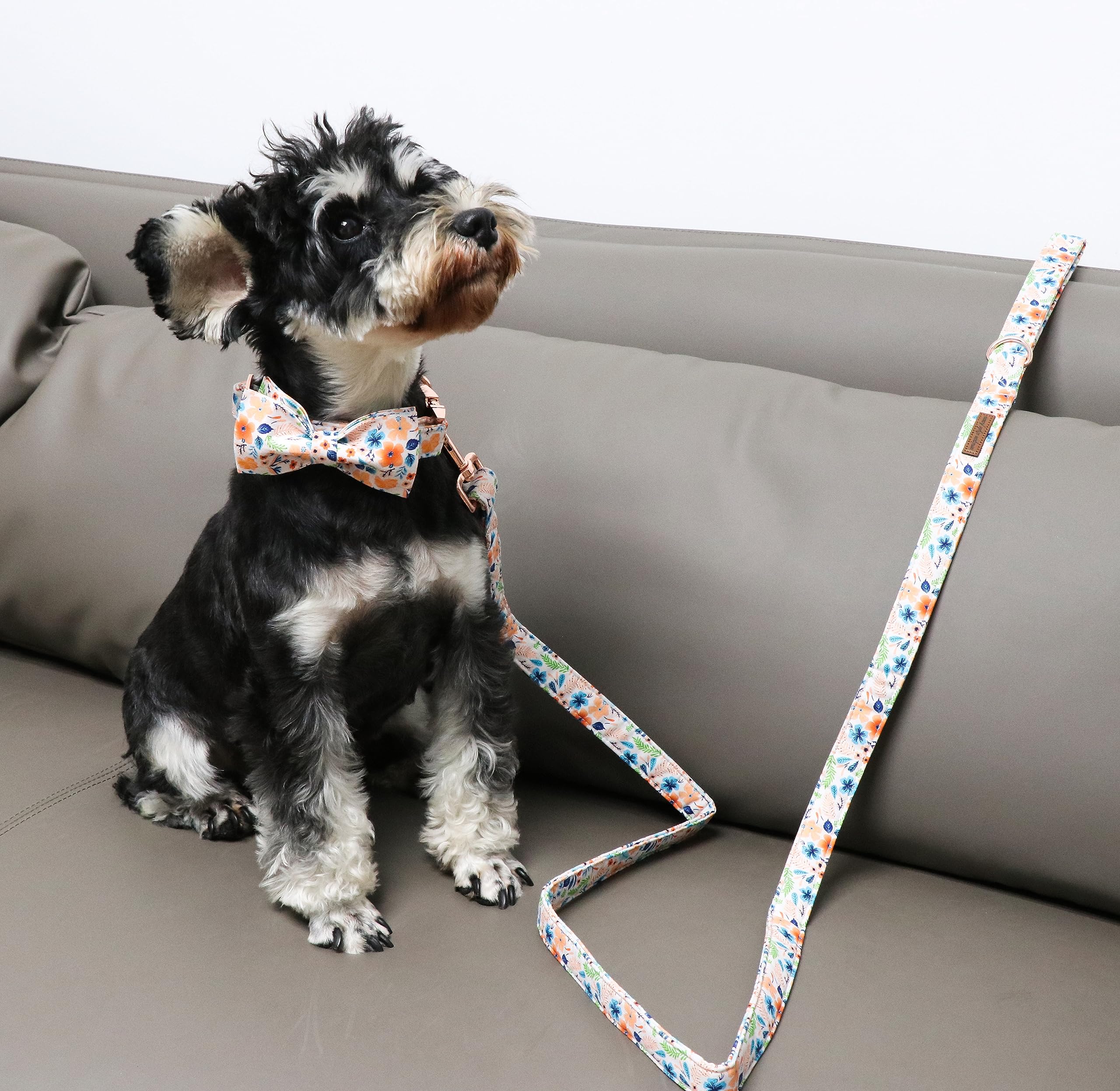 Stylish Cotton Dog Collar with Bow Tie Floral Plaid Pattern - Adjustable Pet Collar for Small Medium Large Dogs - Perfect for Daily Walks, Pet Parties & Gifts