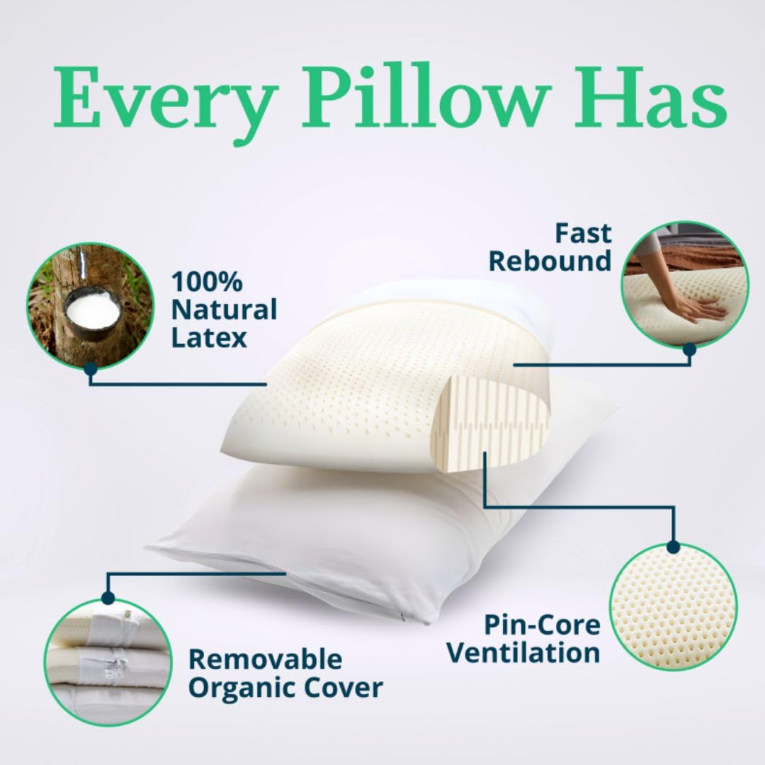 GOTS Certified Organic Talalay Latex Pillow with Organic Cotton Cover - Medium Standard Size for Neck Pain Relief & Head Support | Ideal for Side, Back & Stomach Sleepers | Perfect for Home, Office & Travel Use