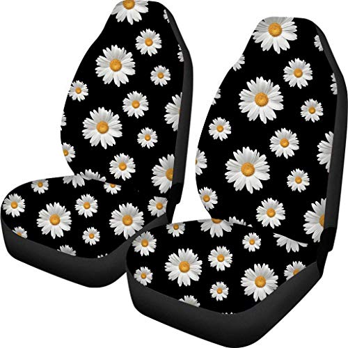 Daisy