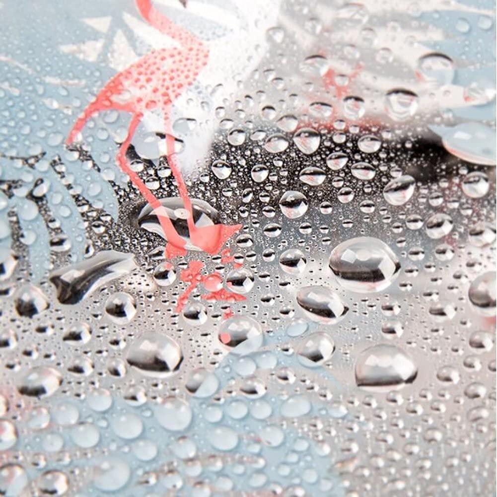 Waterproof Clear Cosmetic Bag for Women - Portable Travel Makeup Organizer (Gray, 7x3x6 Inch) - Perfect for Gym, Beach & Weekend Getaways