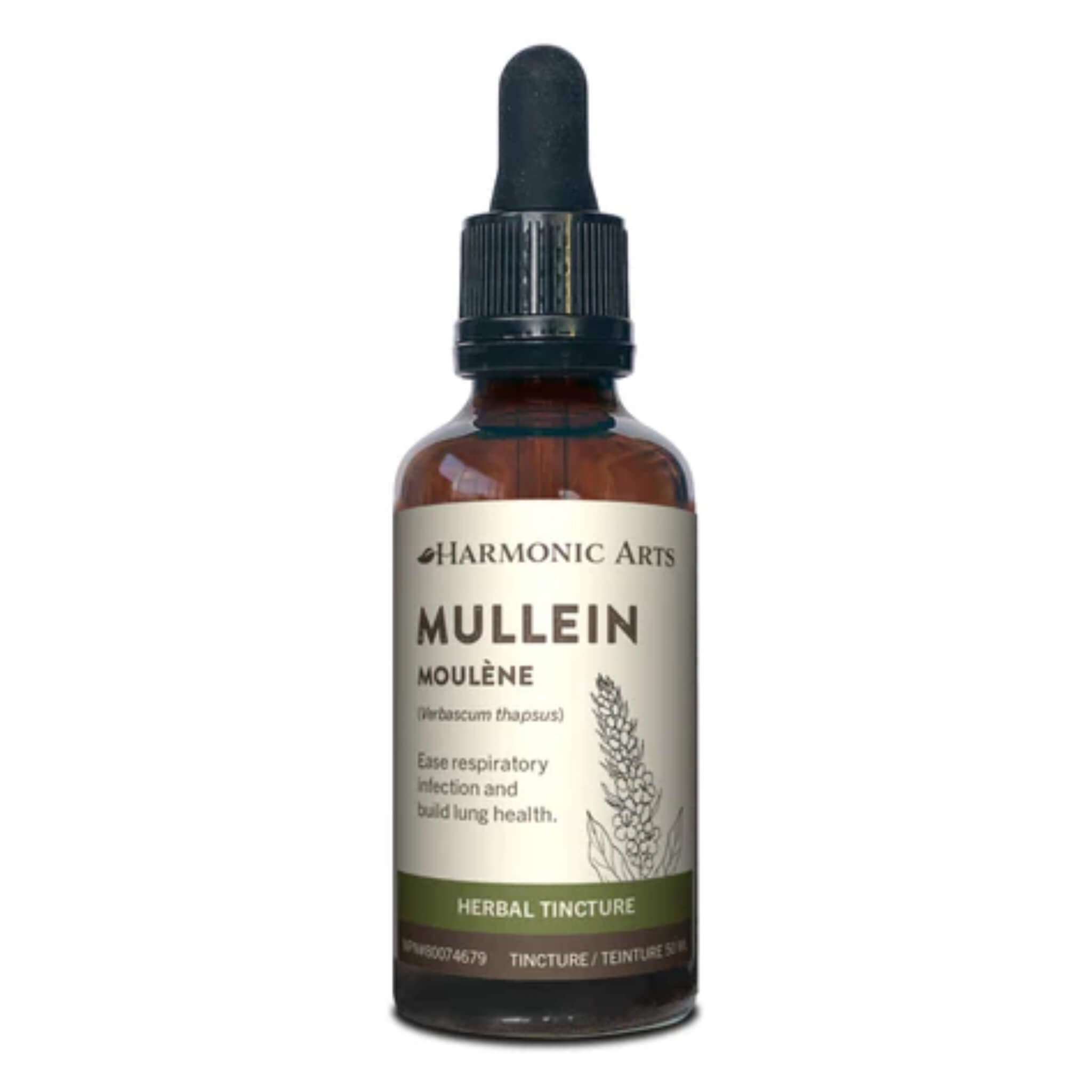 Organic Mullein Leaf (Verbascum Thapsus) - Herbal Tea & Respiratory Support - Natural Remedy for Cough & Congestion - Perfect for Tea Blends & Herbal Remedies