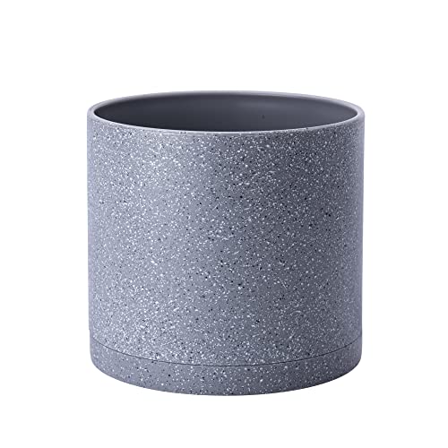 Speckled Gray