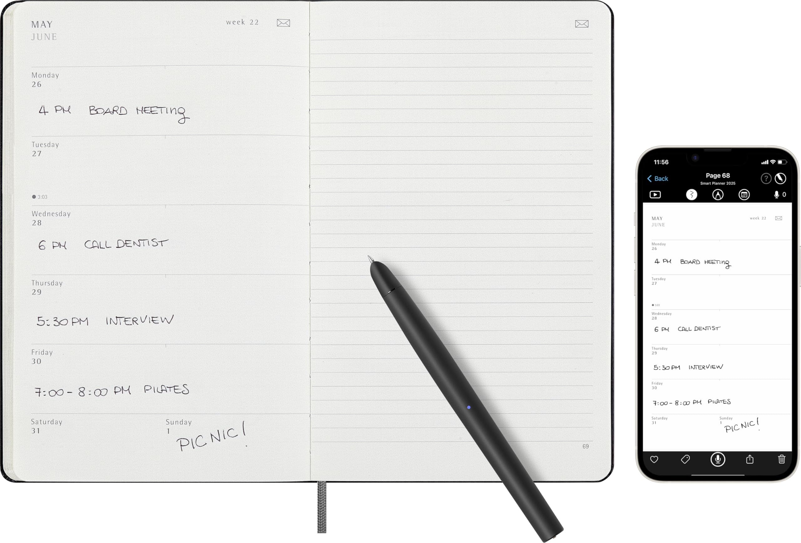 Moleskine 2025 Weekly Planner - 12 Month Hard Cover Large (5