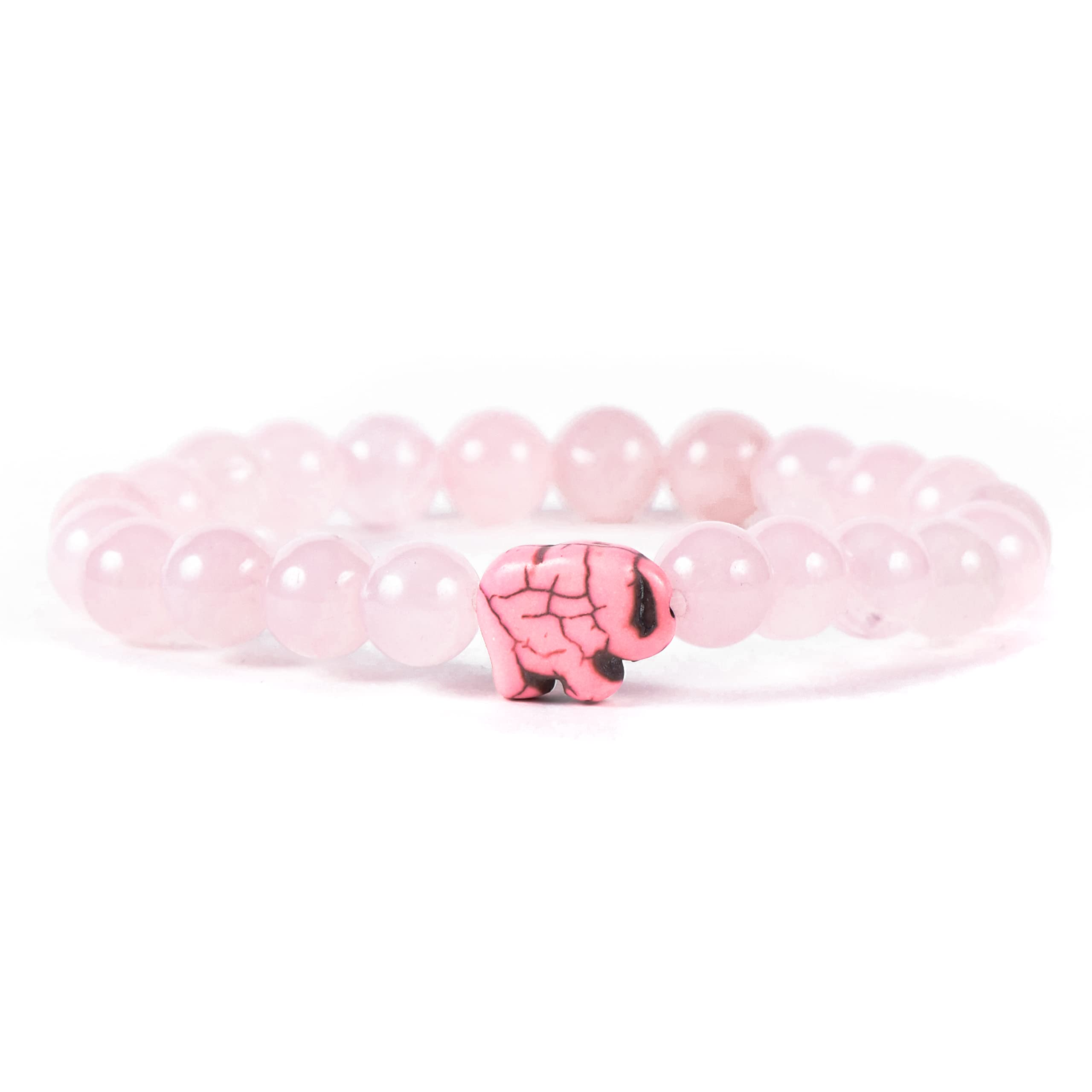 Fahlo Pink Edition Bundle - Adjustable Elastic Tracking Bracelet for Men & Women | Perfect for Ocean Conservation, Animal Tracking & Outdoor Adventures
