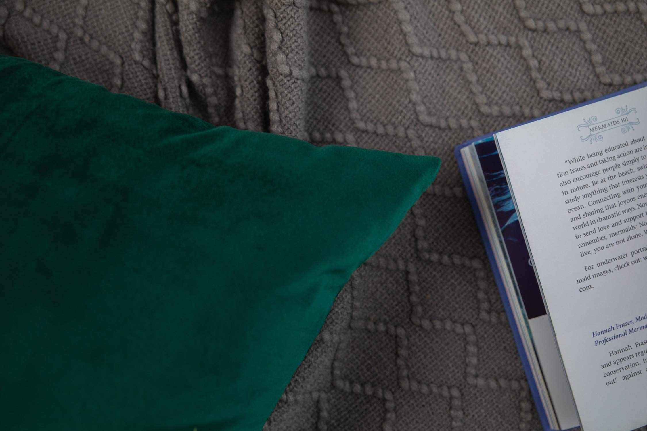 Velvet Throw Pillow Covers 20x20 Inch - Soft Square Decorative Pillow Cases for Couch, Sofa, Bed & Chair - Farmhouse Accent Cushion Covers (Pack of 2, Emerald Green) - Perfect for Living Room, Bedroom & Home Decor