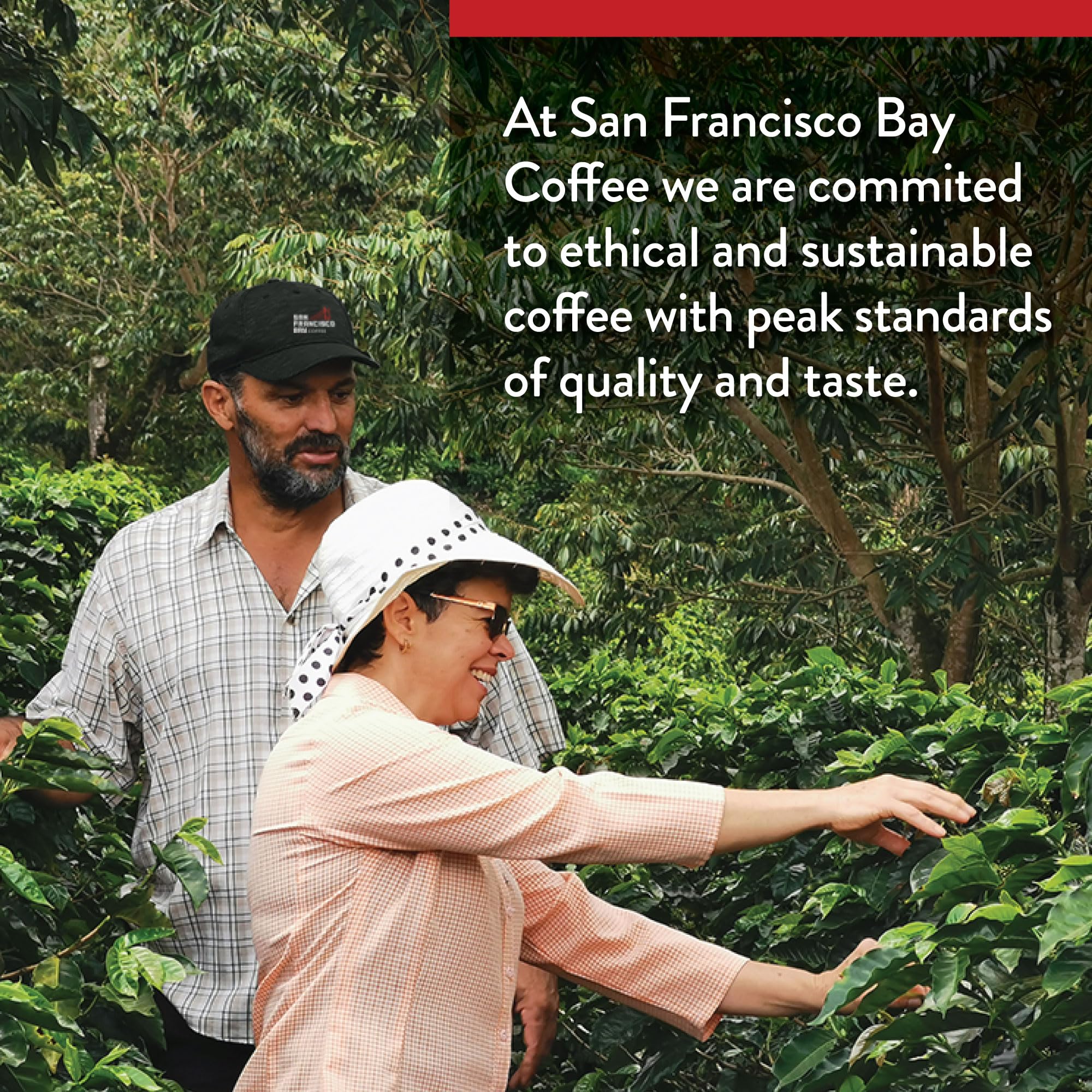 San Francisco Bay Compostable Coffee Pods - Extra Dark Italian Roast (80 Count) K Cup Compatible with Keurig 2.0 | Eco-Friendly Single Serve Coffee for Home & Office Use
