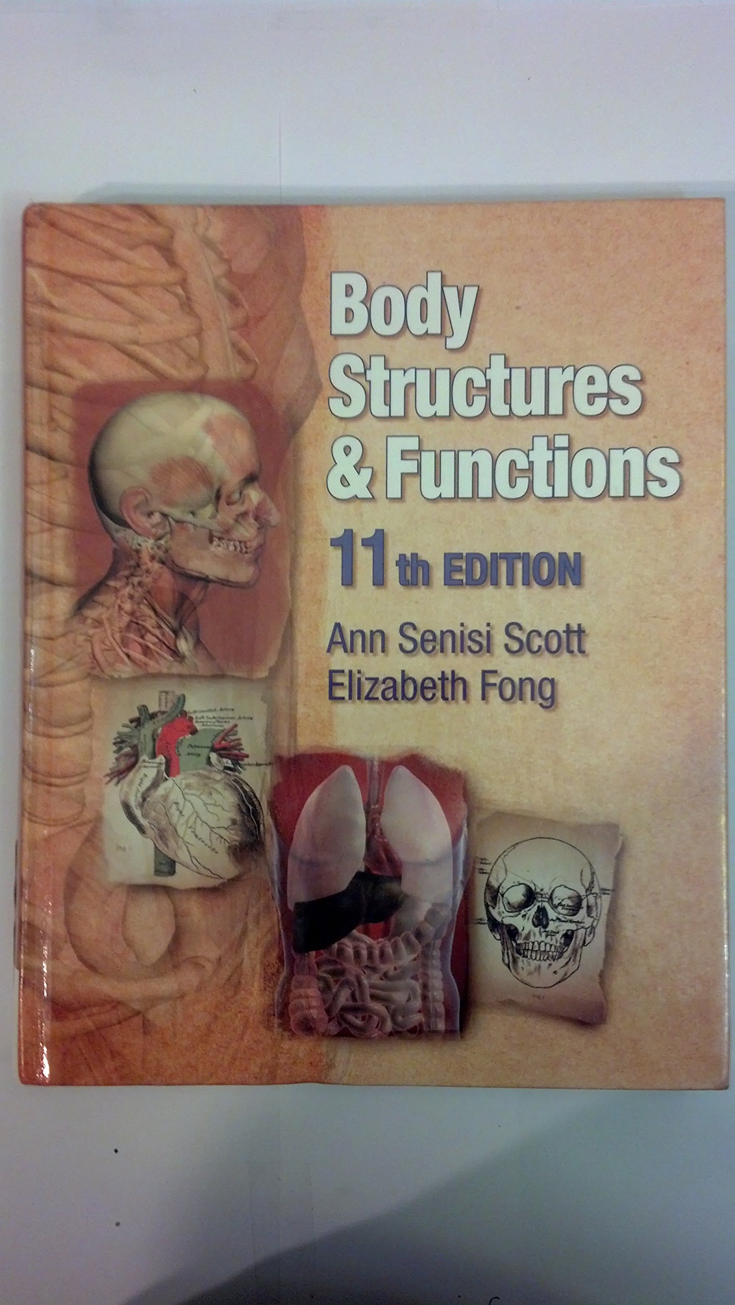 Body Structures and Functions - Comprehensive Guide to Human Anatomy & Physiology | Perfect for Students, Medical Professionals & Health Enthusiasts