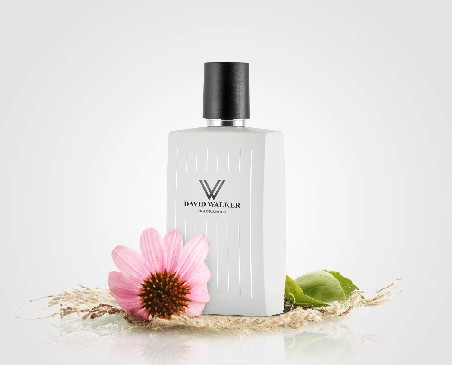 David Walker BRISELI Long-Lasting Perfume for Women - Oak, Cedar & Vetiver Scent | 50ml/1.7oz Eau de Parfum | Inspired by Nature | Luxury Fragrance for Date Night, Office & Special Occasions