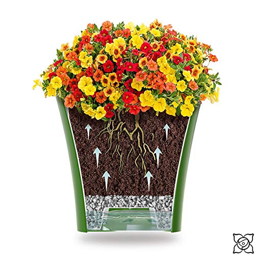 Self Watering Planters 6.5 Inch - Red Pearl & White Flower Pot with Drainage Holes for Indoor Plants, Succulents & Flowers | Plastic Gardening Planter with Water Reservoir | Perfect for Home Decor, Office Desk & Balcony Gardening