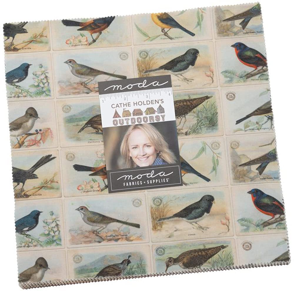 Outdoorsy Layer Cake® - 42 Precut 10