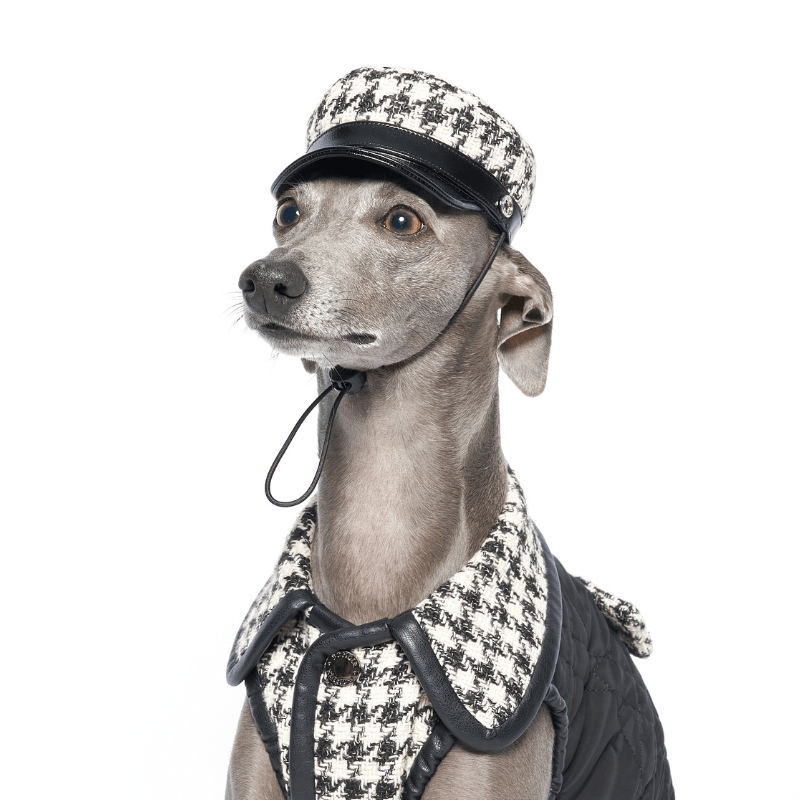 Stylish SOHO Dog Hat - Trendy Pet Accessory for Small & Medium Dogs - Perfect for Outdoor Walks, Photo Shoots & Fashion Events
