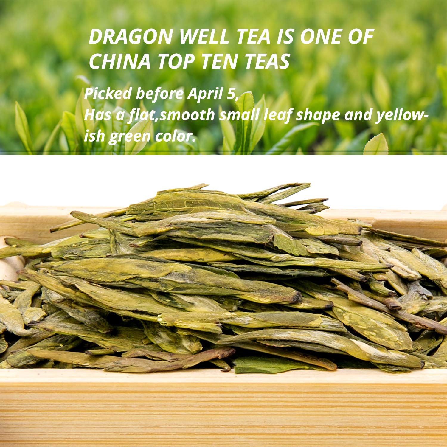 Premium Mingqian Longjing Dragon Well Green Tea - 2nd Grade Loose Leaf Tea - 500g (Pack of 2) - Eco-Grown Spring Harvest - Perfect for Daily Brewing, Gifts & Chinese Tea Ceremonies