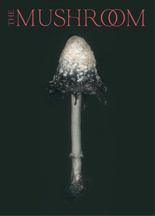The Mushroom Magazine Issue 3 - Premium Mycology Journal for Mushroom Enthusiasts & Researchers | Perfect for Home Cultivation, Foraging & Scientific Studies