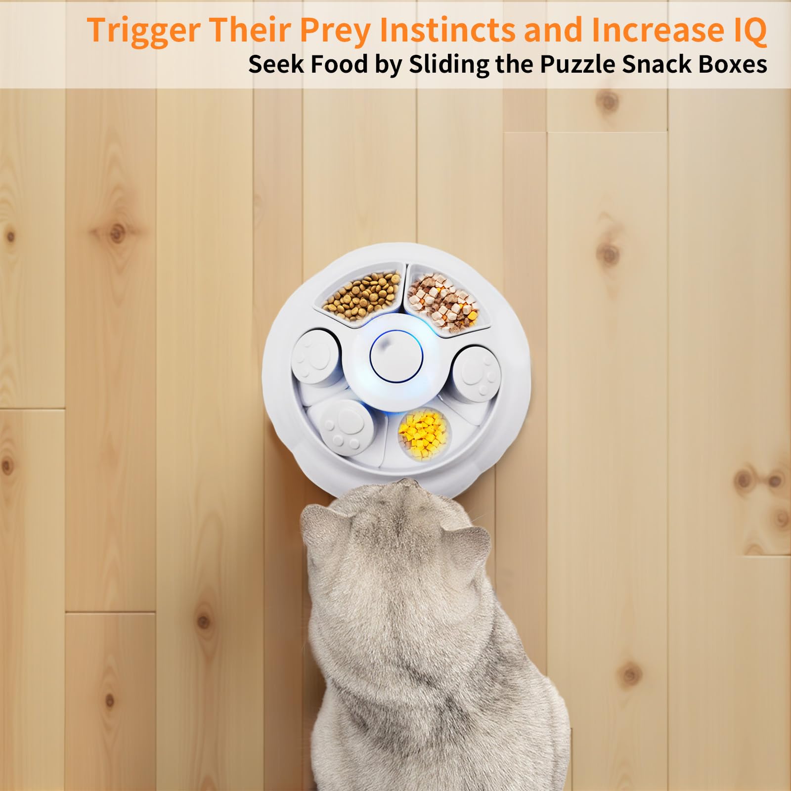 Interactive Cat Toys for Indoor Cats - 4-in-1 Rechargeable Cat Toy Set with Puzzle Feeder, Motorized Butterfly & Feather Wand | Engaging Play for Exercise & Mental Stimulation (White)