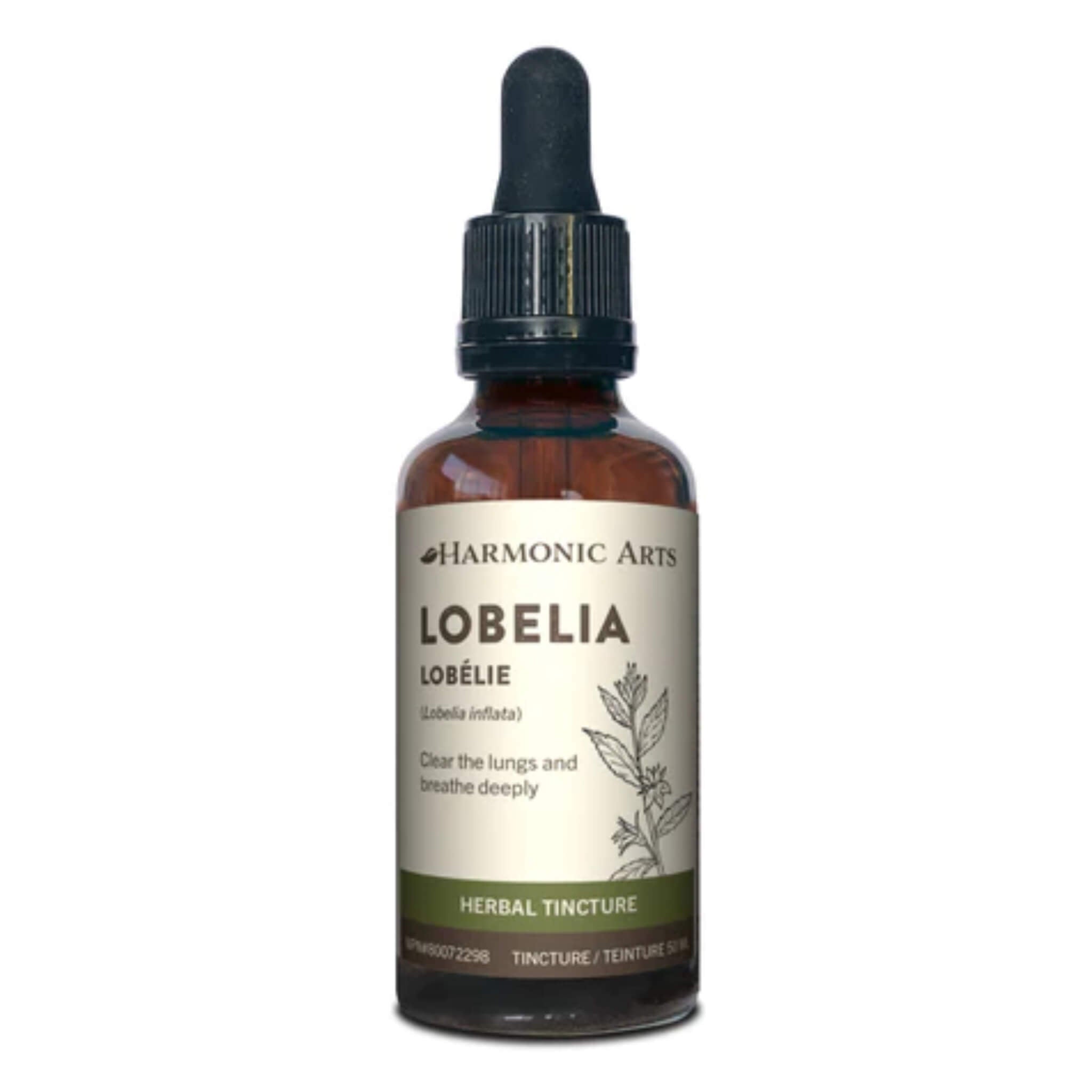 Lobelia Inflata Extract - Organic Herbal Supplement for Respiratory Support & Relaxation - Natural Remedy for Stress Relief, Breathing Issues & Muscle Tension - Perfect for Aromatherapy, Tea Blends & Holistic Wellness