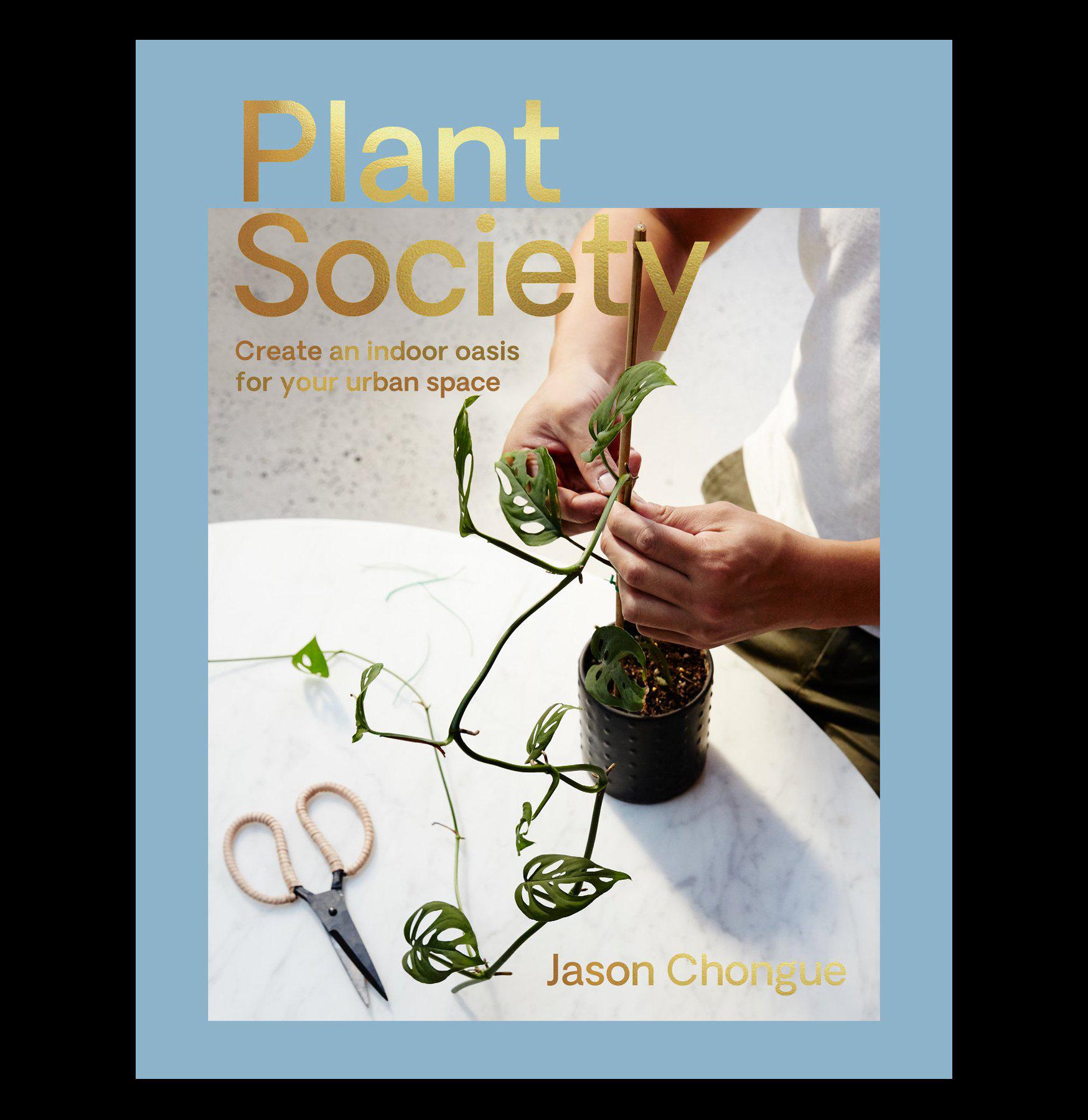 Plant Society - Premium Indoor & Outdoor Plants for Home & Garden Decor | Perfect for Housewarming Gifts, Office Plants & Landscaping