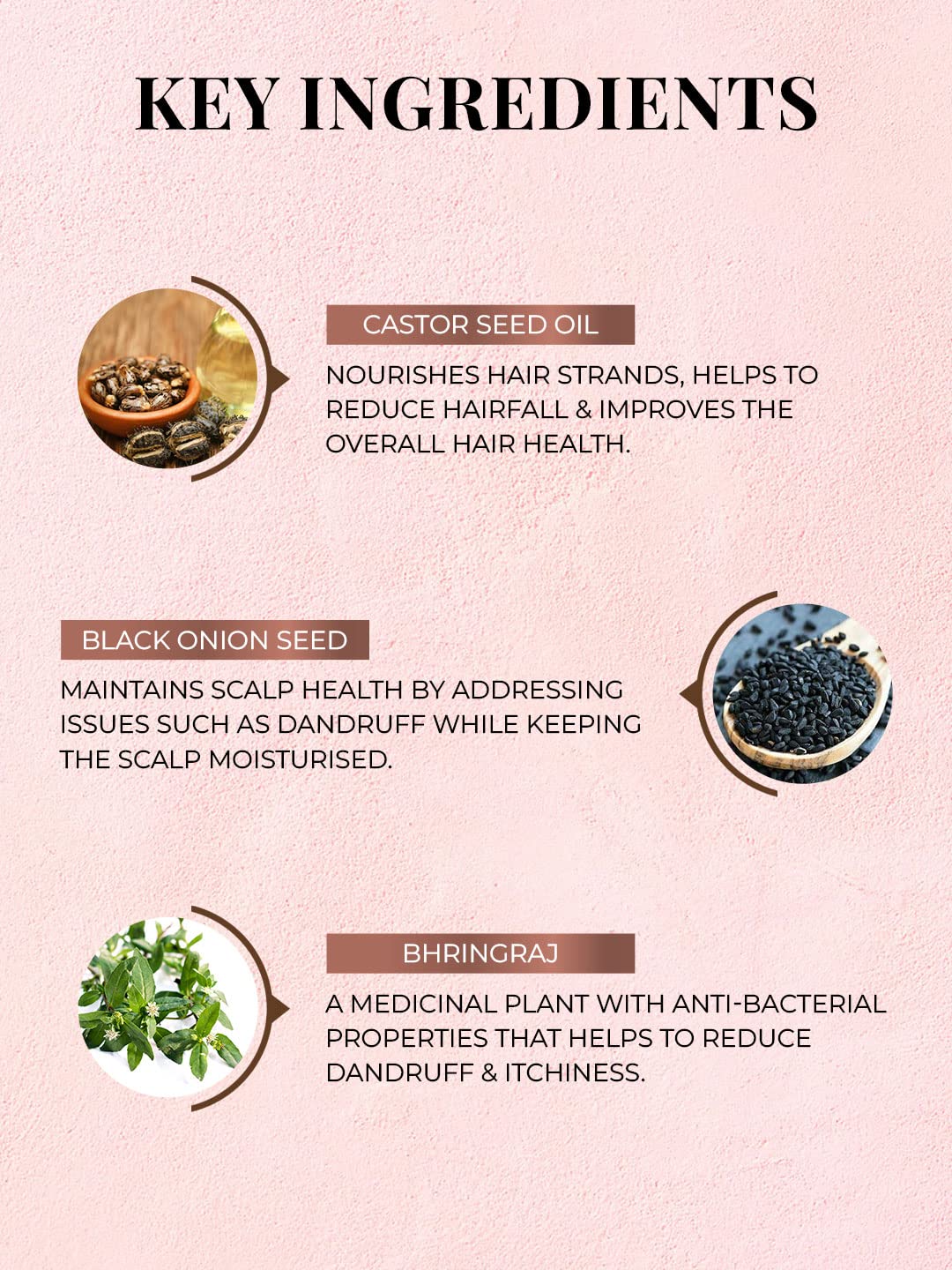 Just Herbs Castor Conditioner with Onion Black Seed Oil & Bhringraj - Promotes Hair Growth, Reduces Hair Fall & Repairs Color Treated Hair - 100ml - For Men & Women - Perfect for Daily Hair Care & Scalp Nourishment