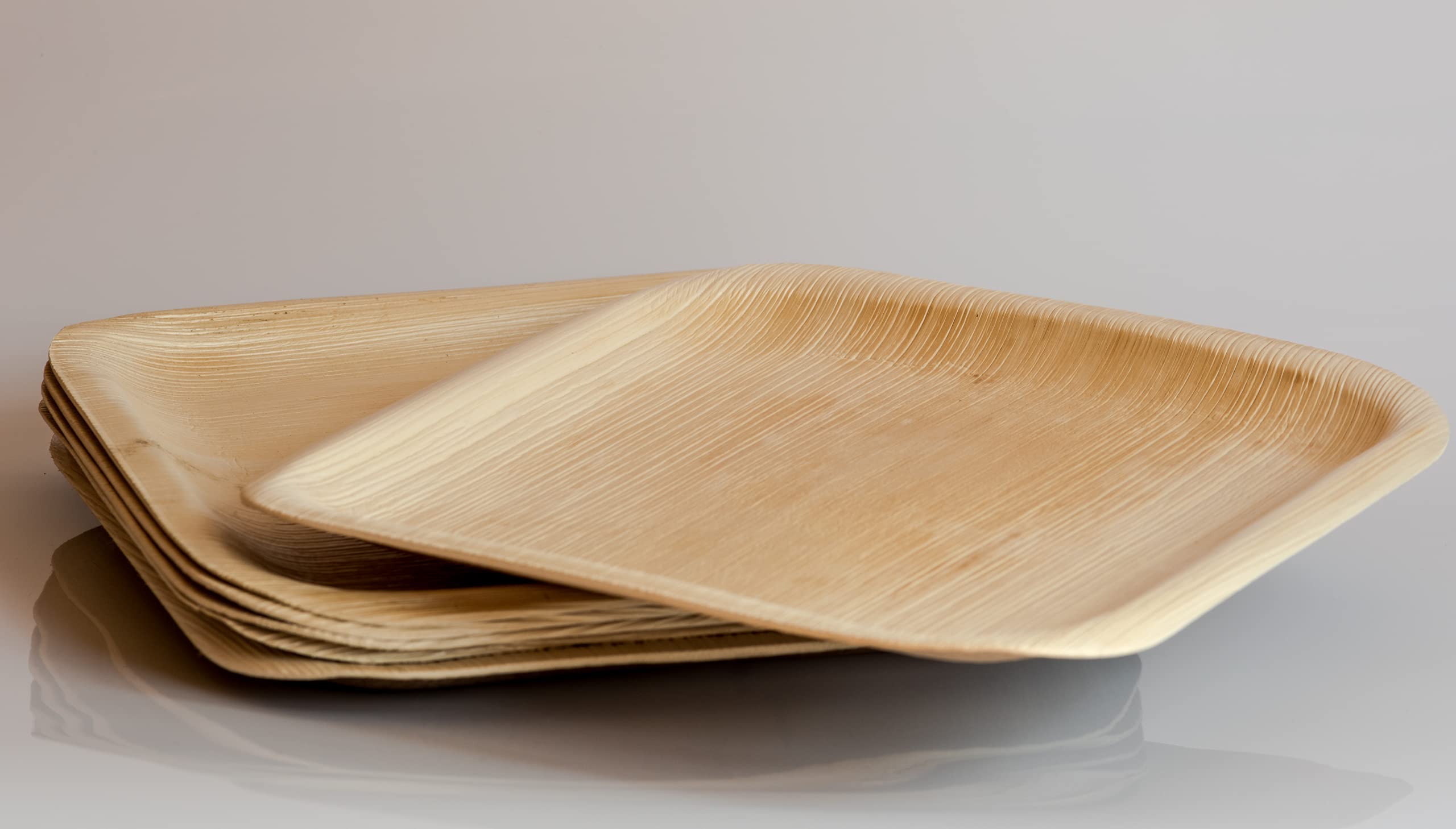 Eco-Friendly 8 Inch Square Palm Leaf Plates - 25 Pc Compostable & Biodegradable Disposable Dinnerware for Parties, Picnics, and Outdoor Events