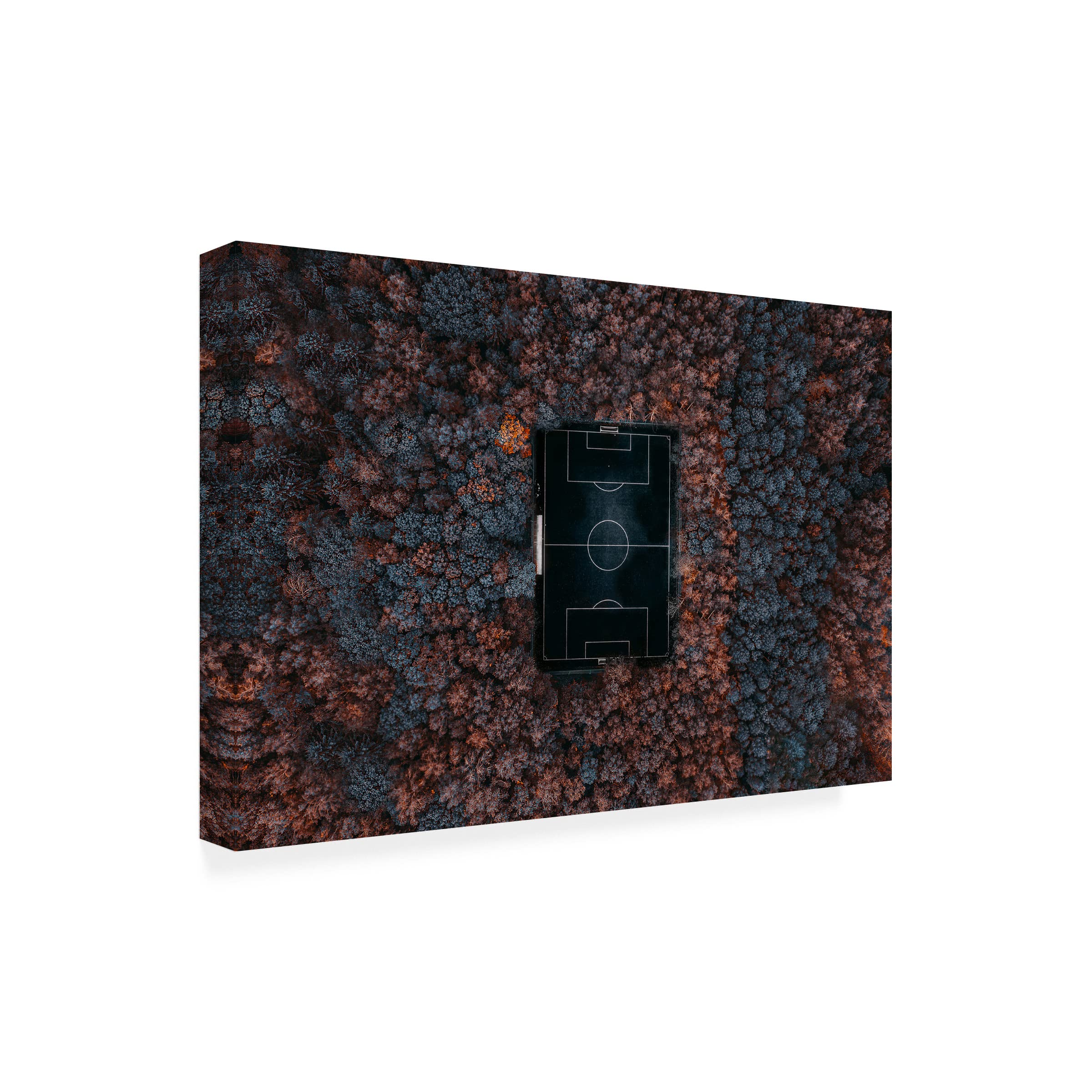 Trademark Fine Art 'Playing In The Forest' Canvas Wall Art by Carmine Chiriaco - Nature Inspired Painting for Living Room, Bedroom & Office Decor