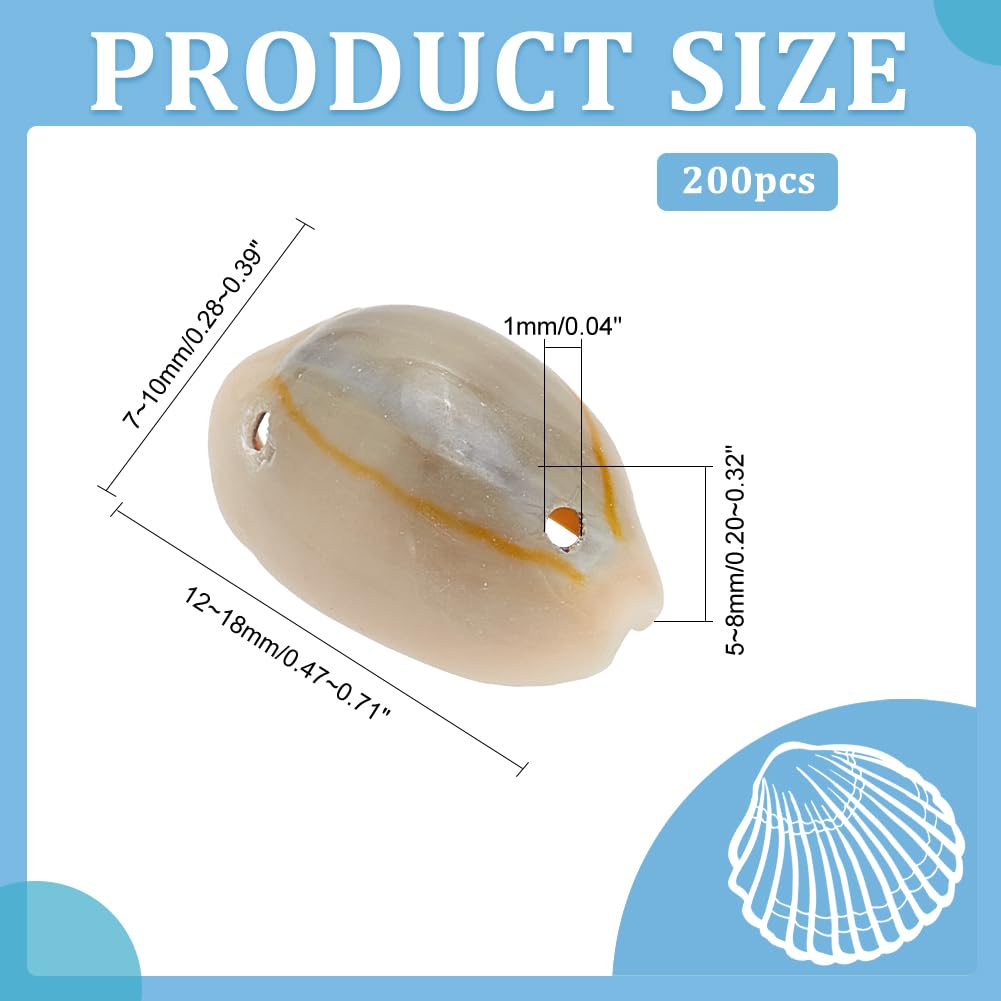PH PandaHall 200pcs Natural Cowrie Spiral Seashell Beads with 2 Holes for DIY Jewelry Making - Perfect for Earrings, Bracelets, Pendants, Wedding Decor, Beach Theme Parties & Home Wall Art