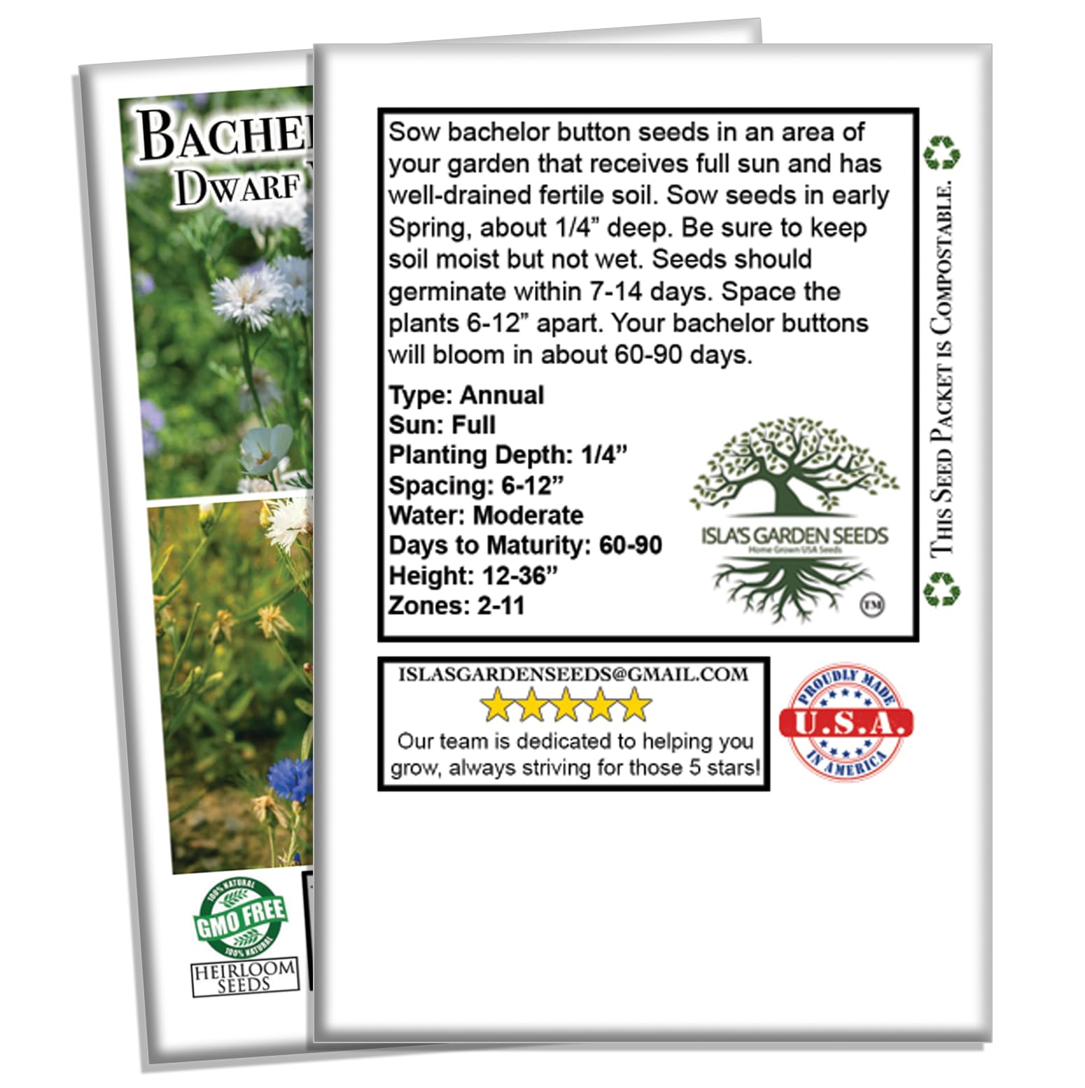 Dwarf White Bachelor Button Flower Seeds for Planting - 200+ Seeds Per Packet, Centaurea Cyanus (White Cornflower) by Isla's Garden Seeds | Perfect for Home Gardens, Wedding Decor & DIY Floral Arrangements