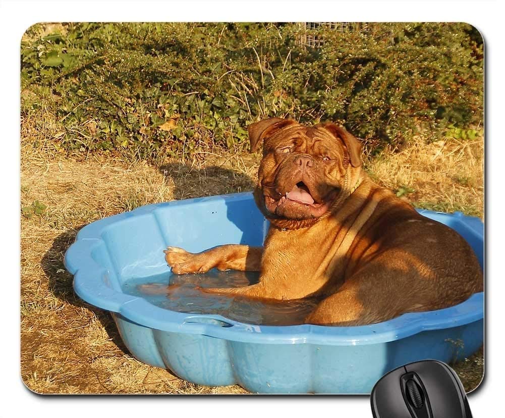 Premium Gaming Mouse Pad - Extra Large Non-Slip Rubber Base - Perfect for Gamers & Office Use - Featuring Cute Dogue De Bordeaux Puppy Design - Ideal for PC, Laptop & Gaming Setup Accessories