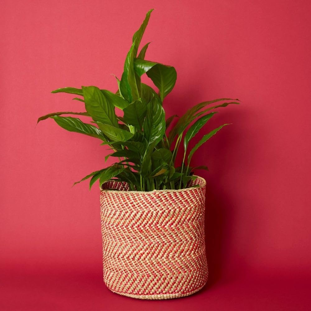 Medium Red Iringa Woven Basket - Indoor Planter & Toy Storage Organizer for Home Decor, Nursery, and Living Room