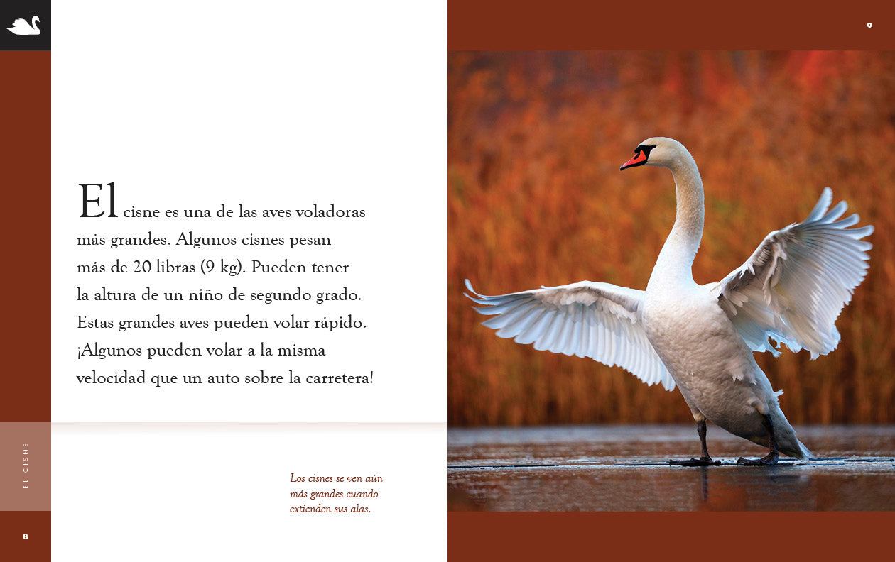 El Cisne Book 9781640266810 - Spanish Language Learning & Literature for Adults & Students - Perfect for Home Study & Classroom Use