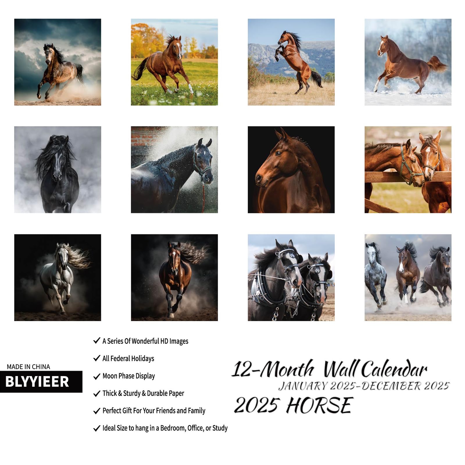 2025 Horse Cattle Monthly Wall Calendar - 12