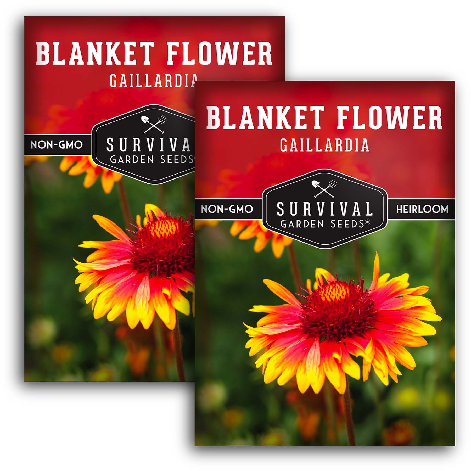 Buy Blanket Flower Seeds Online | Gaillardia Seeds for Garden Planting | Perfect for Landscaping, Borders & Pollinator Gardens