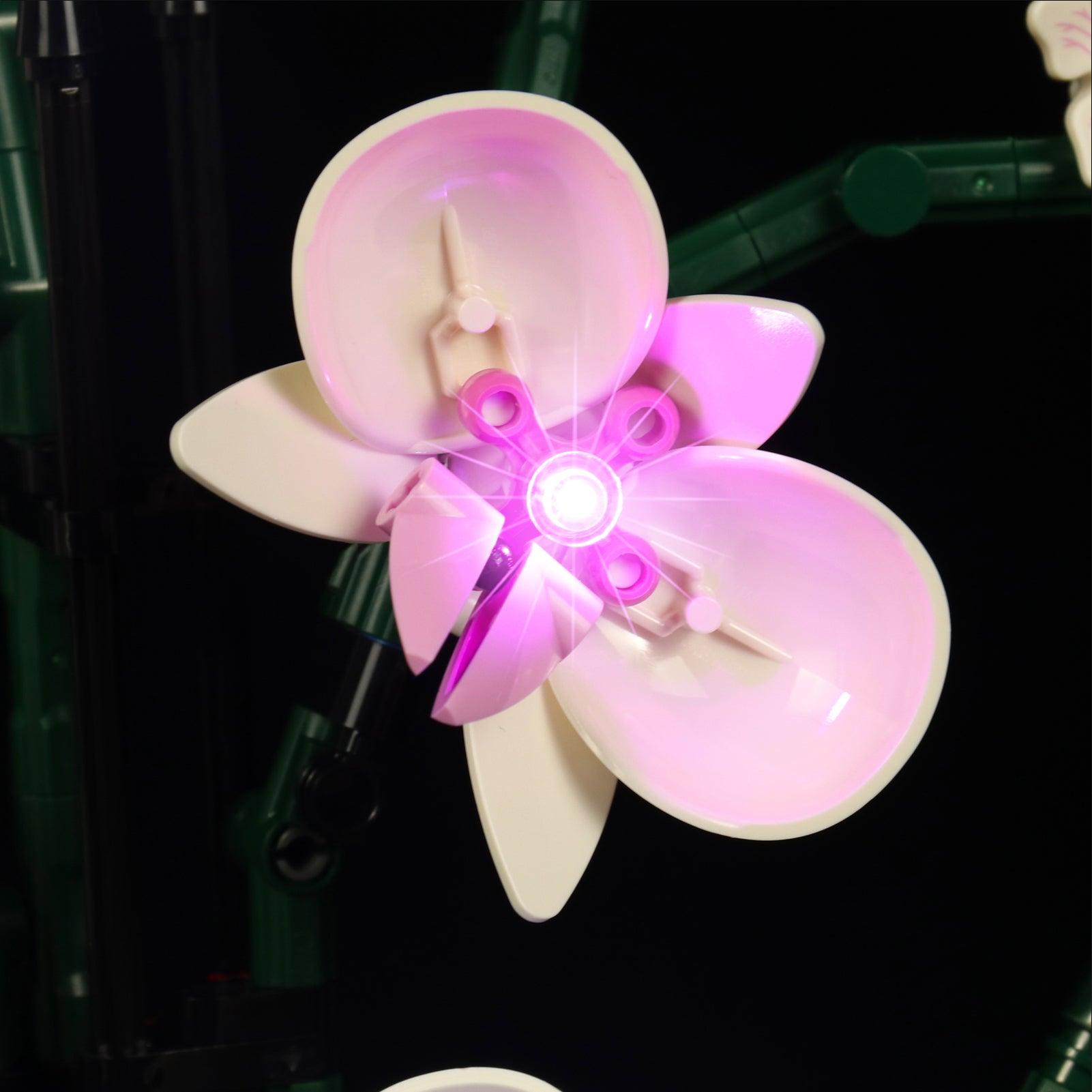 Premium LED Light Kit for Lego Ideas Orchid Plant Decor 10311 – Enhance Your Lego Flower Display with Realistic Lighting for Home & Office Decor