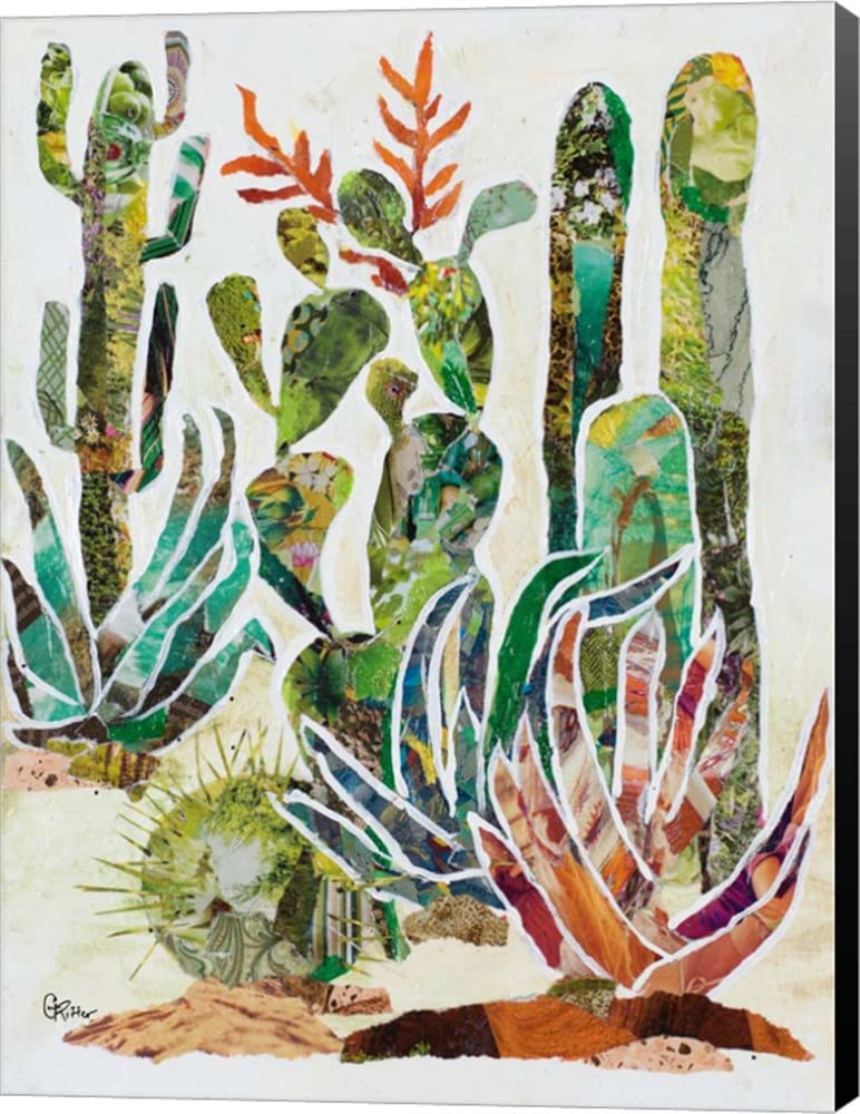 Desert Garden I by Gina Ritter - 15x20 Inch Canvas Art Wall Decor, Museum Wrapped with Black Sides - Perfect for Living Room, Bedroom & Office Decor