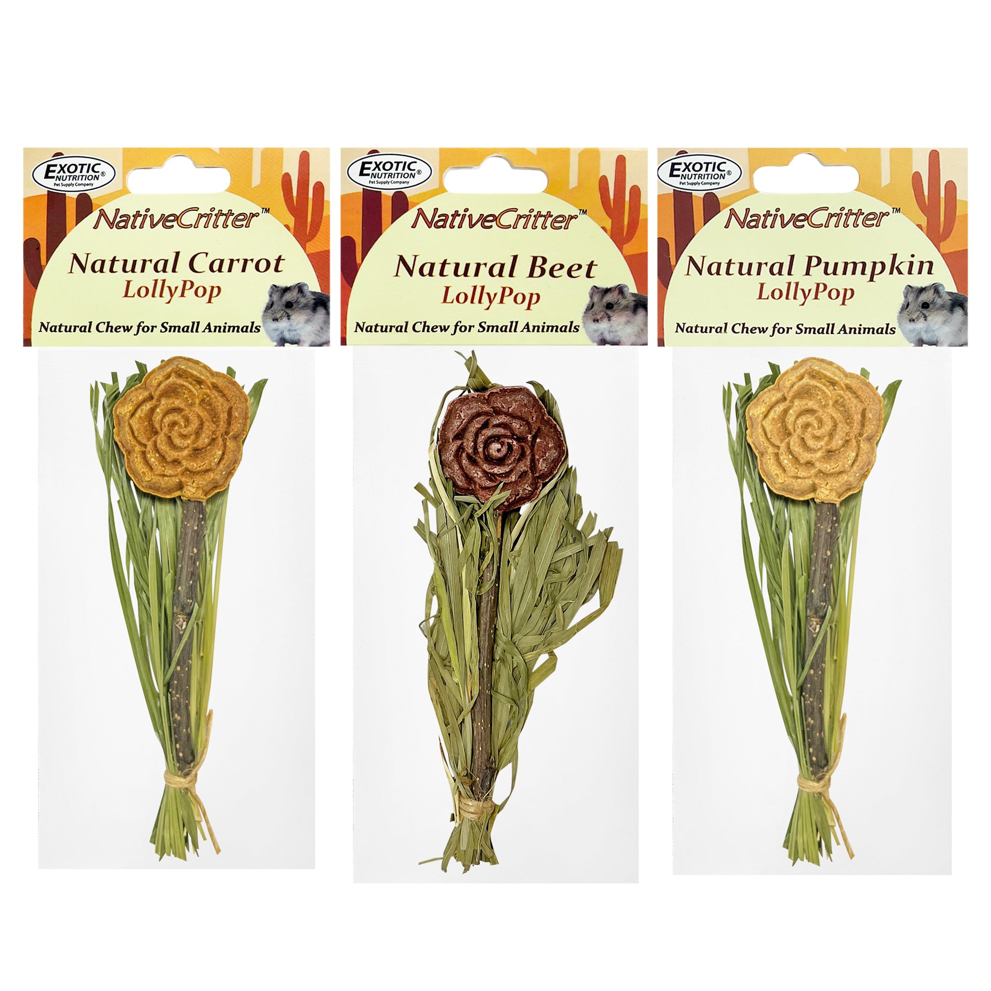 Organic All-Natural Fruit Lollipops - Vegan, Gluten-Free Candy - Perfect for Birthday Parties, Baby Showers & School Treats