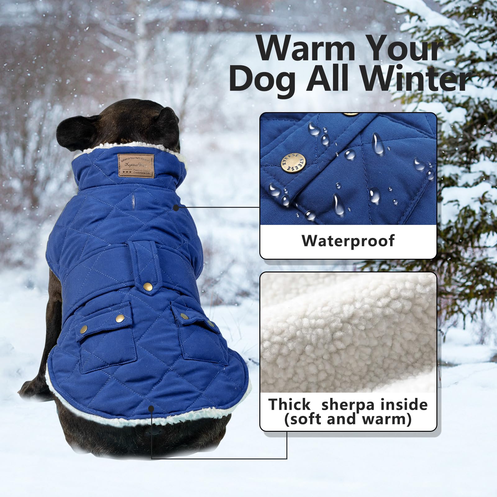 KYEESE Winter Dog Coat - Windproof Padded Sherpa Jacket with Furry Collar for Small Dogs | Warm Cozy Dog Clothes for Cold Weather | Perfect for Outdoor Walks, Winter Adventures & Daily Wear (Blue, Medium)