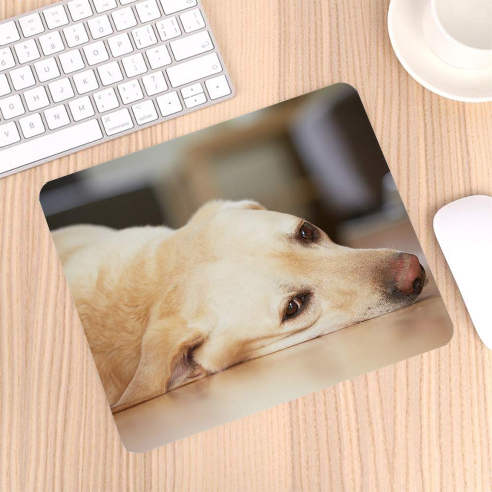 Yellow Labrador Retriever Gaming Mouse Pad - Non-Slip Rubber Computer Mousepad for PC, Laptop, Office & Home Use - 9.5x7.9 Inch Rectangle Personalized Desk Accessory - Perfect for Gamers, Workstations & Pet Lovers