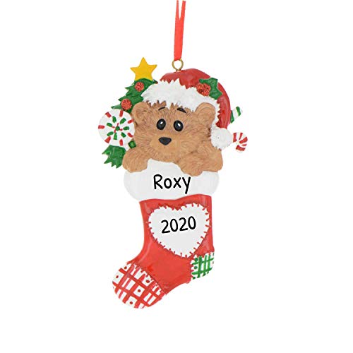 Bear in Stocking