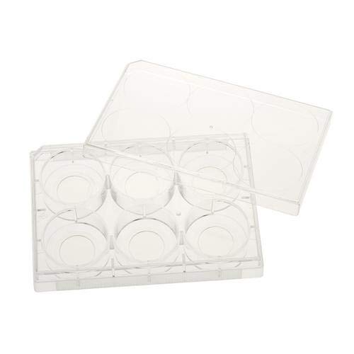 CELLTREAT 229107 Sterile 6-Well Tissue Culture Plate with Lid - 20mm Glass Bottom, Polystyrene/Glass (Pack of 5) for Cell Imaging, Microscopy & Biomedical Research