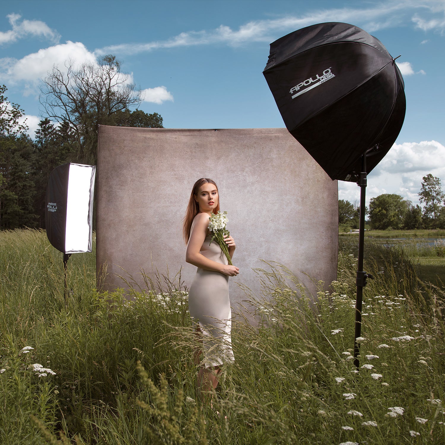 Apollo Strip Softbox with 40 Degree Grid (12 x 36) - Professional Photography Lighting for Studio, Portrait, and Product Shoots - Perfect for YouTube Videos and Commercial Photography