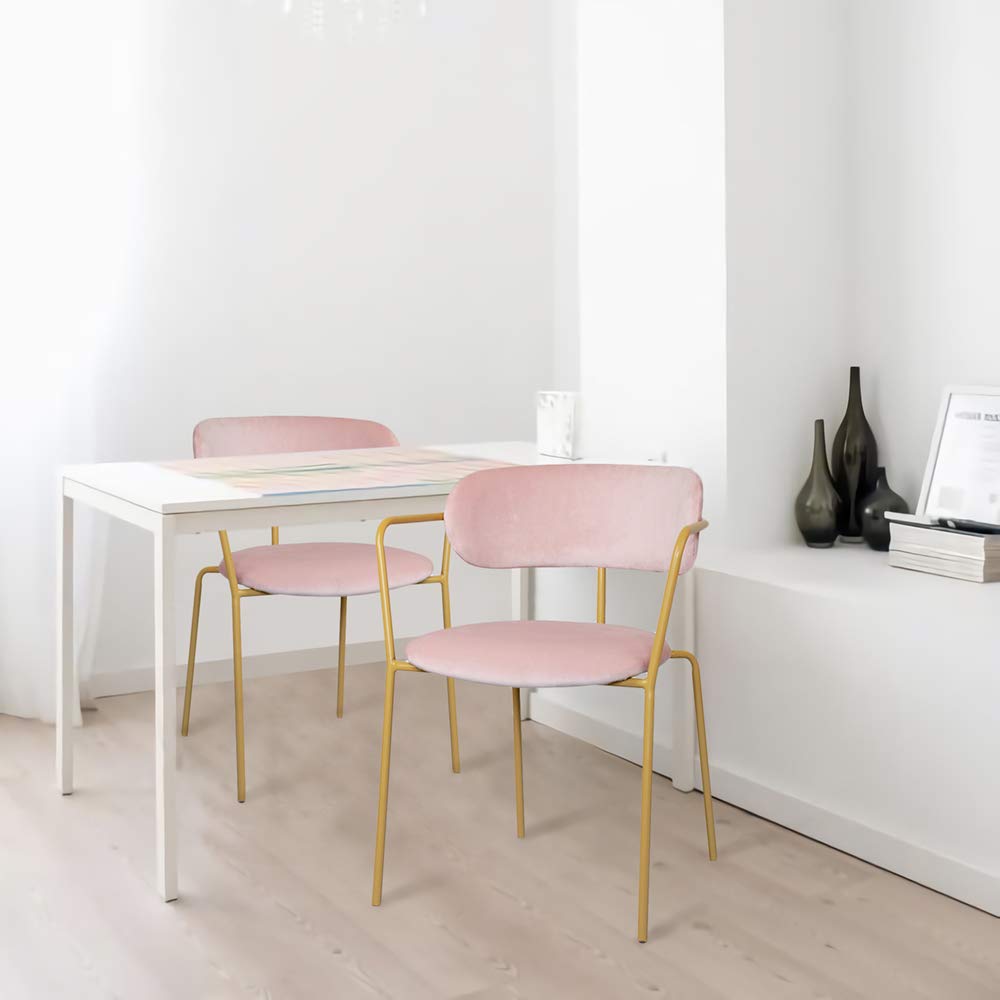 GIA Contemporary Dining Chairs Set of 2 - Velvet Pink Upholstered Seats with Brass Finish Metal Legs - Modern Kitchen & Dining Room Furniture for Home Decor