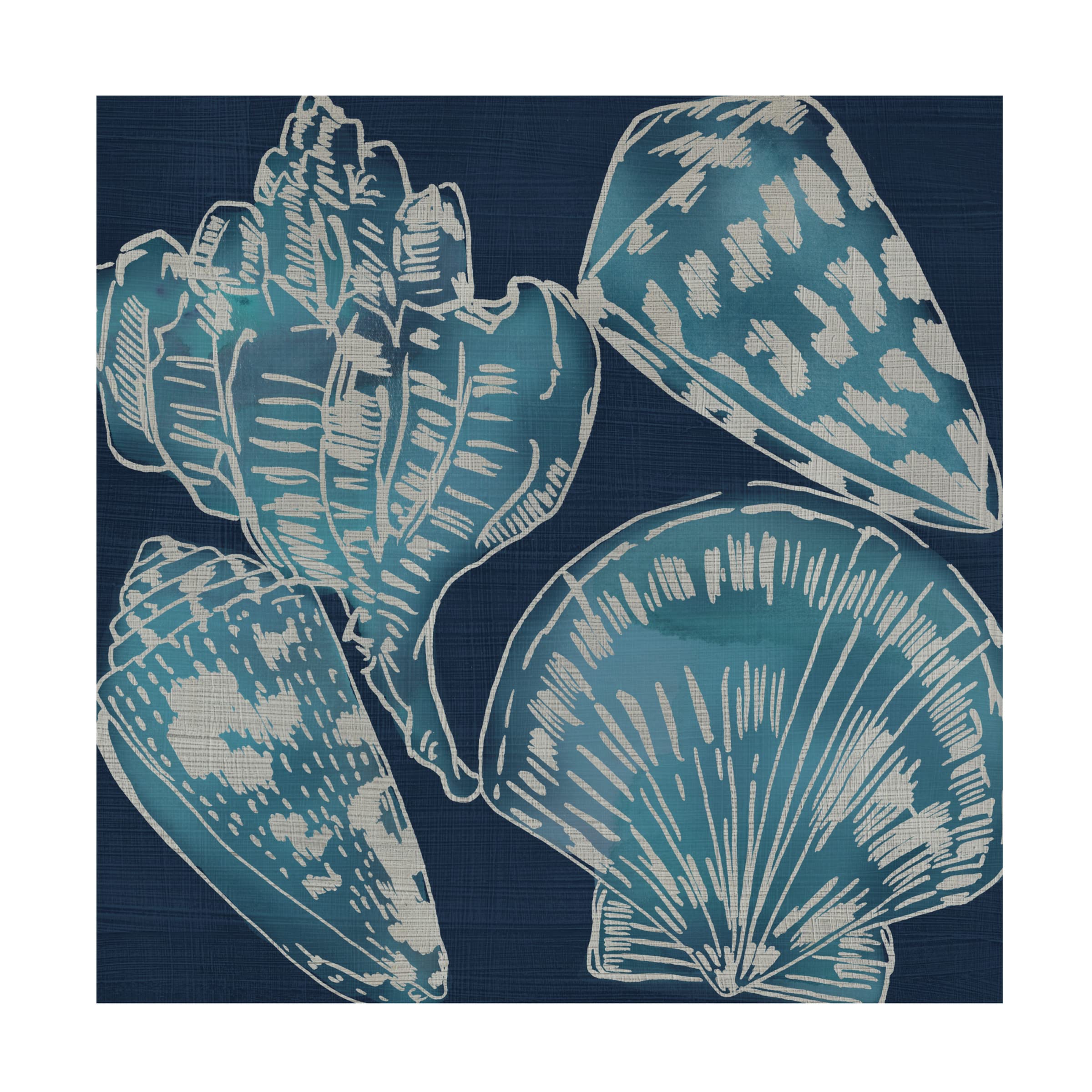 Trademark Fine Art 'Marine Shells II' by Chariklia Zarris - Stretched Canvas Wall Art Decor for Living Room, Bedroom & Office | Coastal Beach Theme Home Decor
