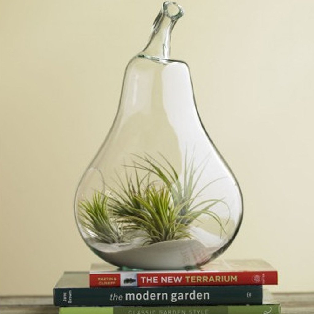 Pear Shaped Glass Hanging Vase - Elegant Plant Flower Decor for Home, Wedding, Garden & Office | Handmade Clear Glass Bottle for Air Plants, Succulents & Fresh Cut Flowers