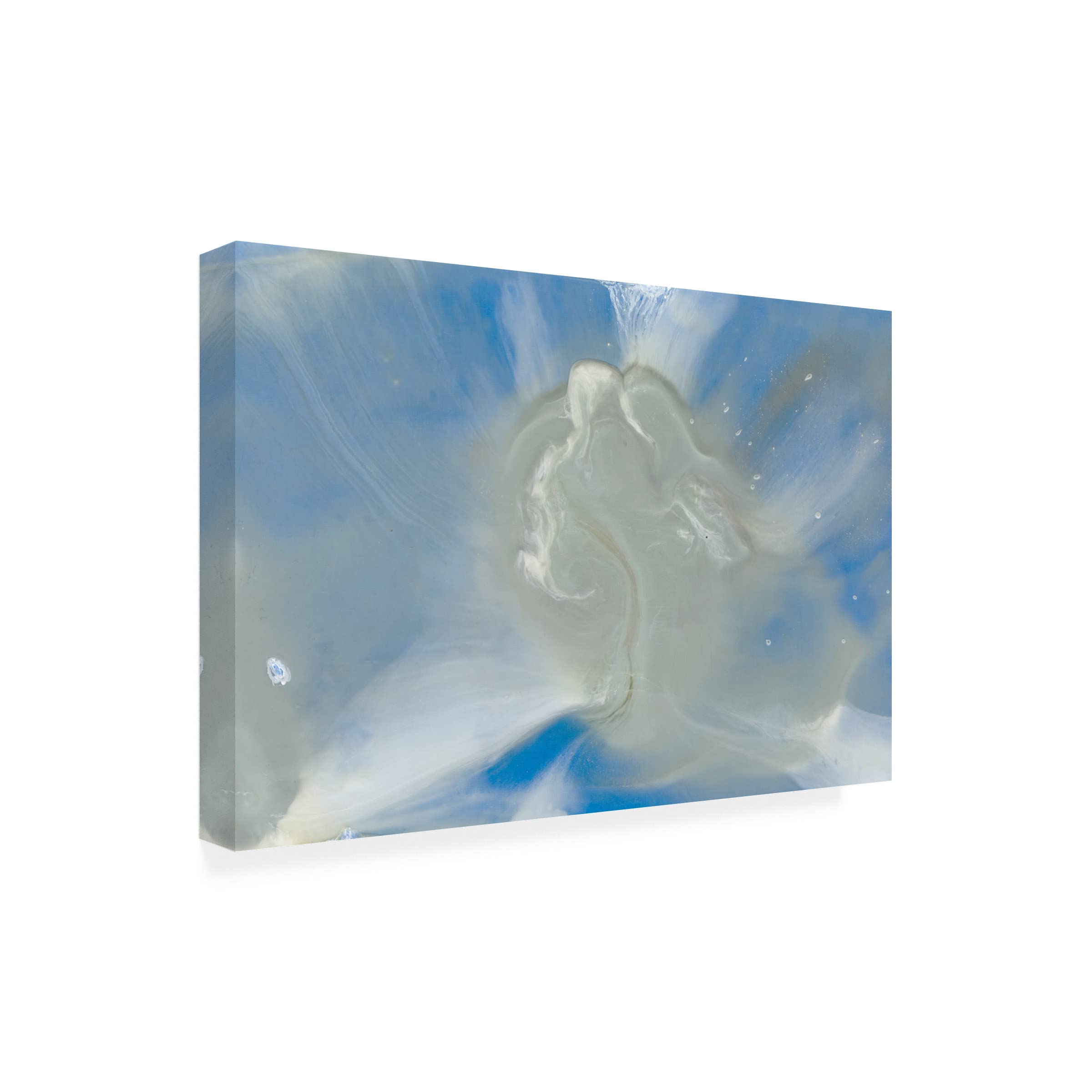 Trademark Fine Art 'Being One I' Canvas Wall Art by Lila Bramma - Modern Abstract Painting for Living Room, Bedroom & Office Decor