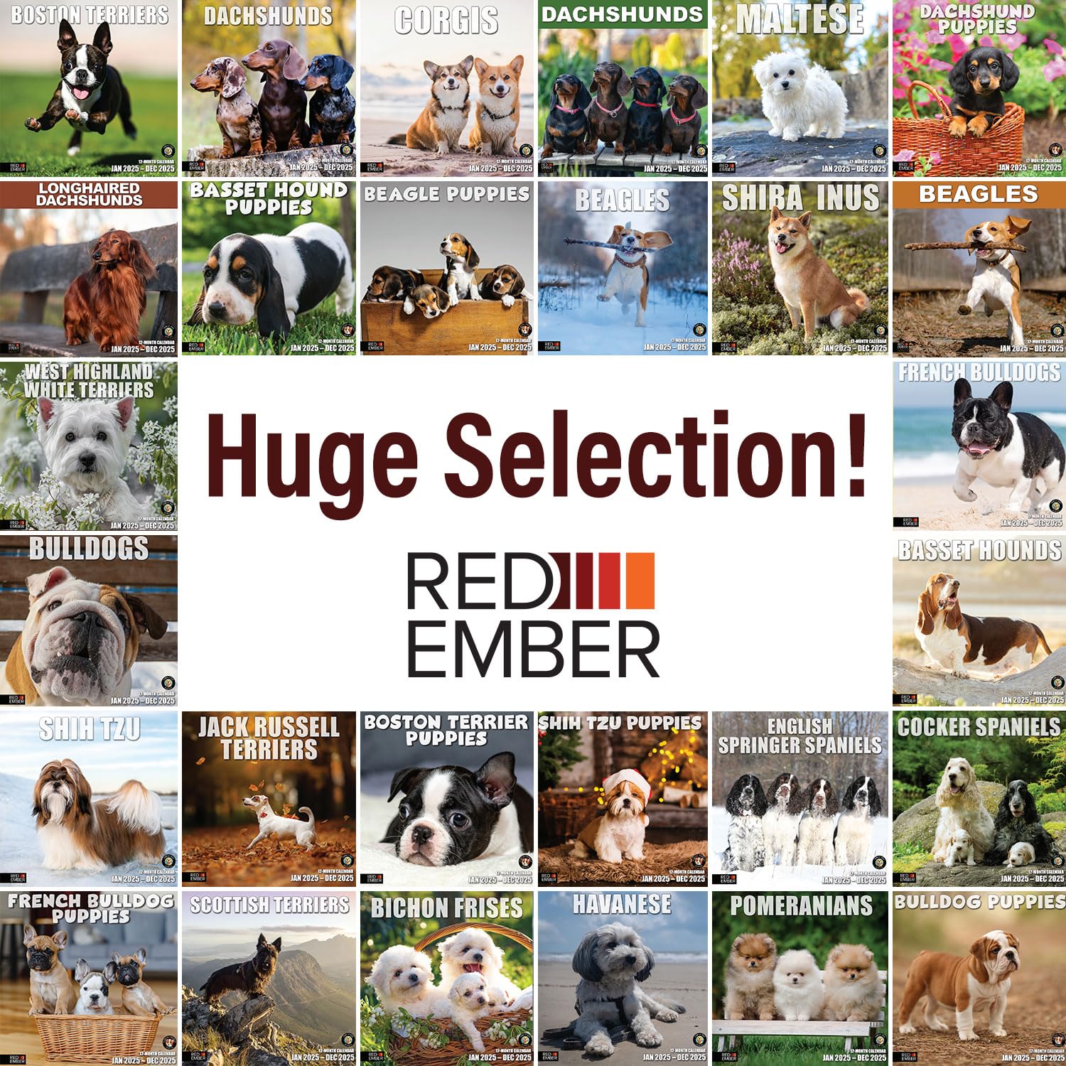 RED EMBER Boston Terrier Puppies 2025 Wall Calendar - 12 Month Large 12x24 Inch with Thick Sturdy Paper - Perfect Gift for Dog Lovers, Home & Office Decor