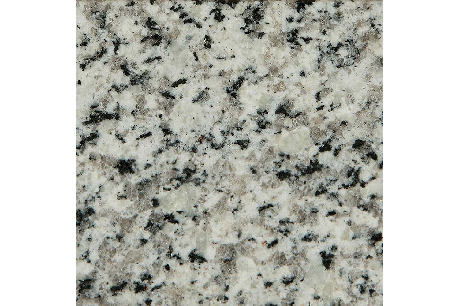 Premium Corsica Pearl Flurry Granite Slabs - Natural Stone for Countertops, Flooring & Backsplash | Perfect for Kitchen, Bathroom & Outdoor Spaces