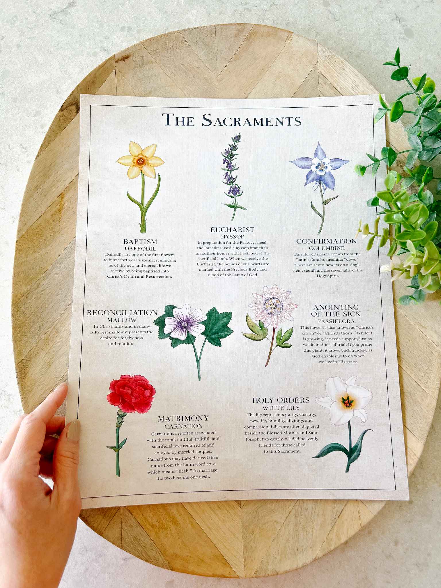 The Seven Sacraments Catholic Religious Art Print - Perfect for Home Decor, Church Display & Gift Giving