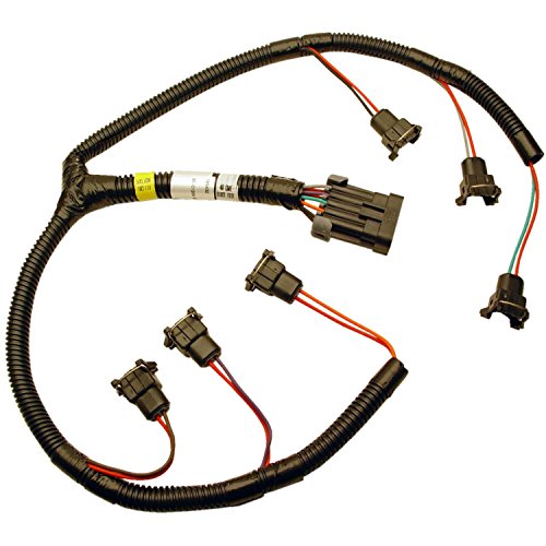 FAST 301206 XFI Fuel Injector Harness for Buick V6 with Minitimer Connector - Compatible with 3.8L Engine - Perfect for Performance Upgrades & Tuning